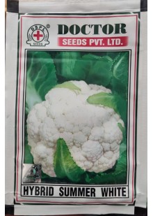 Hybrid Summer White